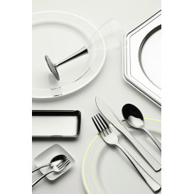 Assiette en Plastique Dur avec Liseré Argent 19cm (20 Utés)