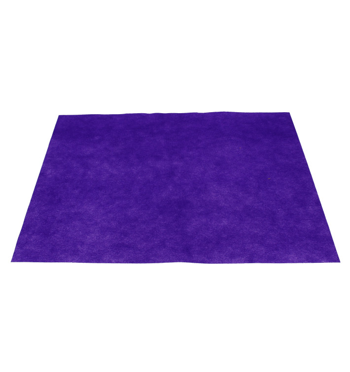 Set de Table en PP Non-Tissé Lilas 30x40cm 50g (500 Utés)