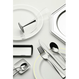 Assiette en Plastique Dur avec Liseré Argent 19cm (120 Utés)