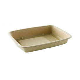 Boîte Canne à Sucre PLA 950ml 23x16,5x5cm (300 Utés)