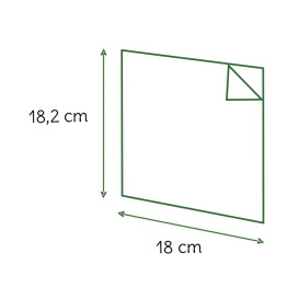 Sachet Ingraissable Ouverture latérale 18x18,2cm Naturel (100 Utés)