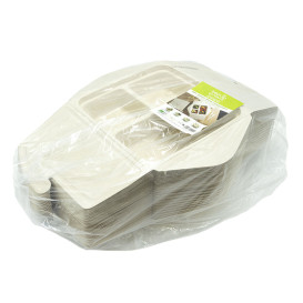 Boîte Canne à Sucre MenuBox 3C 21x21x4cm 900ml (100 Utés)