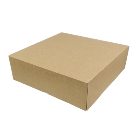 Boîte en Carton Kraft avec Rabat 26x26+10cm (100 Utés)