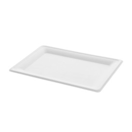 Plateau Bio en Canne à Sucre Blanc 200x280mm (40 Unités)