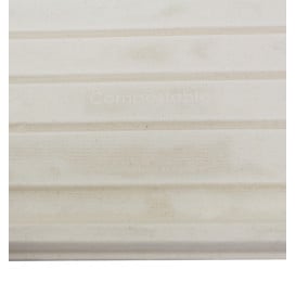 Plateau Bio en Canne à Sucre 460x300mm (100 Utés)