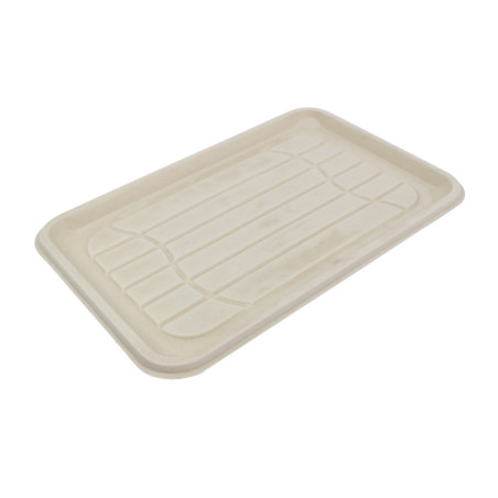 Plateau Bio en Canne à Sucre 46x30cm (100 Utés)