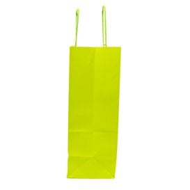 Sac en Papier Vert avec Anses 100g/m² 22+9x23cm (25 Utés)