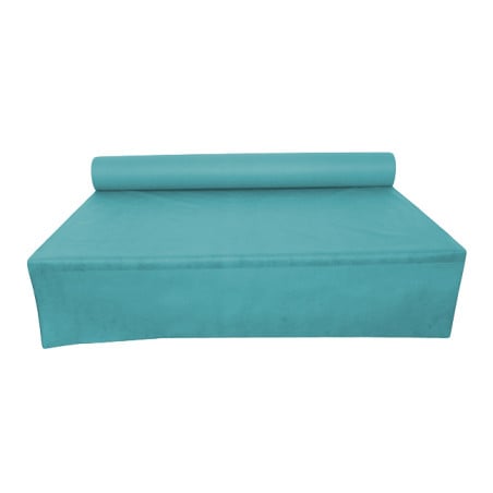 Nappe Rouleau PP Non Tissé Turquoise 1,2x50m 50g (1 Uté)