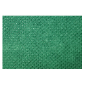 Chemin de Table PP Non Tissé 40x100cm Vert 50g (500 Utés)