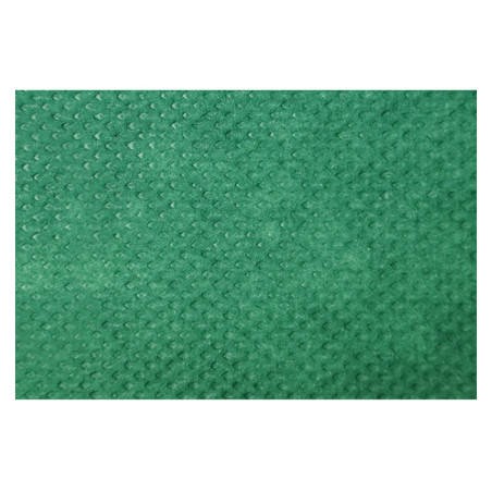 Chemin de Table PP Non Tissé 40x100cm Vert 50g (500 Utés)