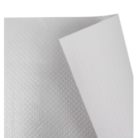 Set de Table papier 30x40cm Argent 45g/m² (500 Utés)