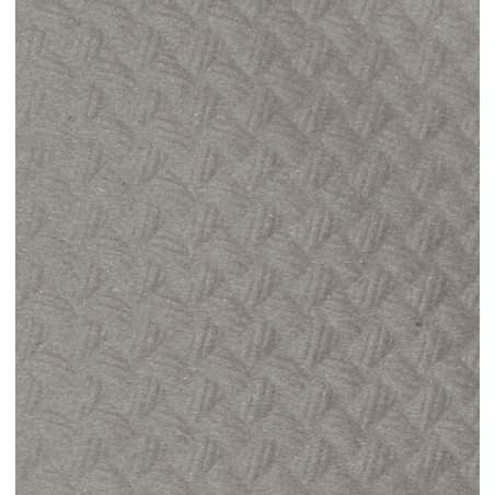 Nappe papier en Rouleau Gris 1x100m 40g (6 Unités)