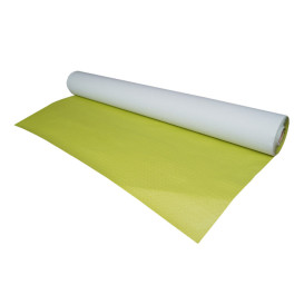 Nappe en papier en Rouleau Vert Pistache 1x100m 40g (1 Unité)